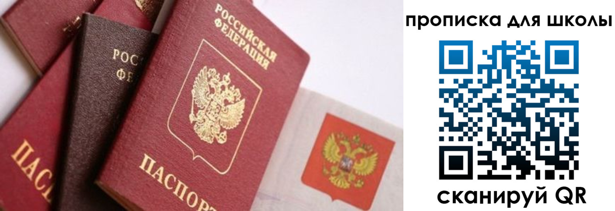 прописка поиск в Трубчевске